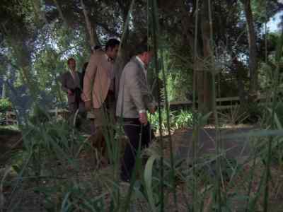 He's down there.
It's an air-raid shelter. - Mission: Impossible