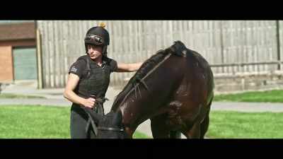 He's feeling really good. He's
in prime time now for Ascot. - Horsepower