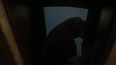 He's frozen through. - The Terror