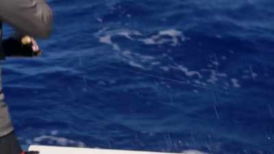 He's getting close, I can feel
more drag tension now. - Deadliest Catch: Bloodline