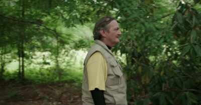 He's going around
these clumps of trees. - The House in Between
