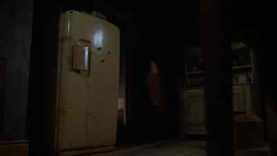 He's going down in the basement! - Leprechaun