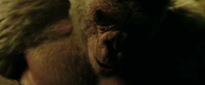 He's gone. - War for the Planet of the Apes