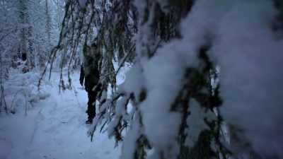 He's gonna be hiding
underneath that cover of - Life Below Zero: Next Generation