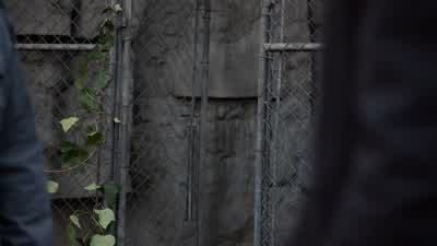 He's gonna get himself killed. - Teen Wolf