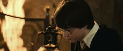 He's got a little job to do inside the Dark Forest. - Harry Potter and the Philosopher's Stone