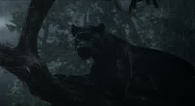 He's got to go. - The Jungle Book