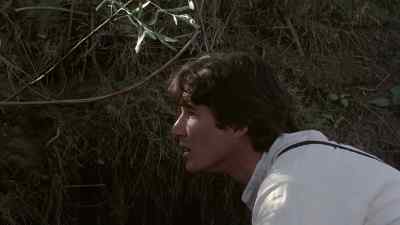 He's in here somewhere! - Days of Heaven