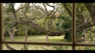 He's in those trees
rain, sleet or broil. - Panic