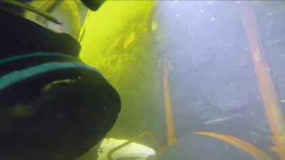 He's just getting
his feel for it. - Bering Sea Gold