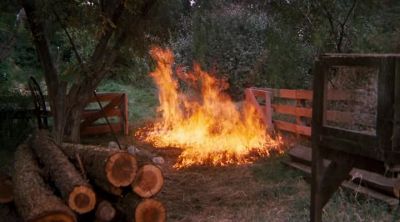 He's let that fire
get out of hand. - The Waltons