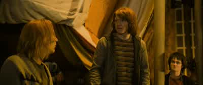 He's like a bird, the way he rides the wind. - Harry Potter and the Goblet of Fire