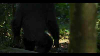 He's moving away from the group... - Chimp Empire