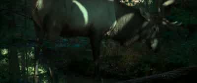 He's not even afraid of us. - The Hunger Games: Mockingjay   Part 1