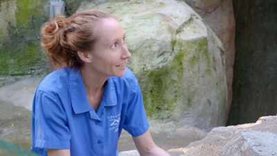 He's not even caring
about eating, - Secrets of the Zoo