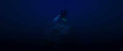 He's not here, Kate.
Javier?! - 47 Meters Down