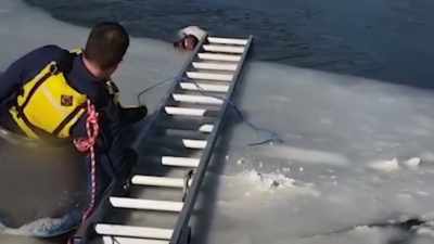 He's paddling
for his life, - Neighborhood Wars