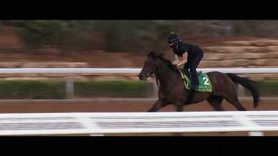 He's performed on
the all-weather, - Horsepower