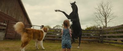 He's scary. - A Dog's Journey