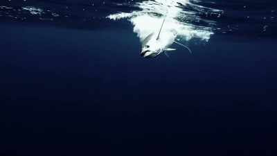  He's shaking the head a lot - Deadliest Catch: Bloodline