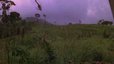 He's shooting at us, he's shooting! - Gold of the Amazon Women