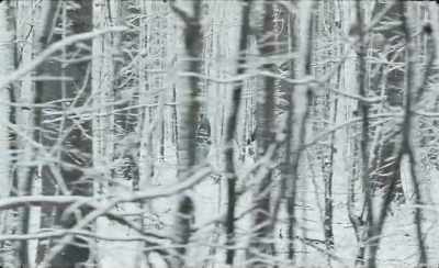 - He's sick. - What does that
have to do with me? - Winter Brothers
