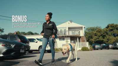 He's slightly more noise sensitive. - Inside the Mind of a Dog