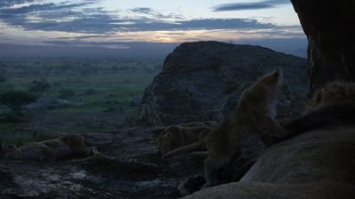 He's your son - The Lion King