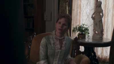 He's sorry it happened, Aurora. - The Gilded Age