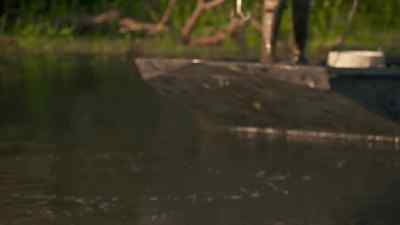 He's still going. - Swamp People
