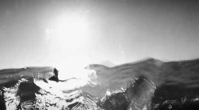 He's still paddling when he
feels a strong bump on his knee. - Shark Attack Files