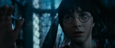 He's studying dragons there.- Good. - Harry Potter and the Sorcerer's Stone