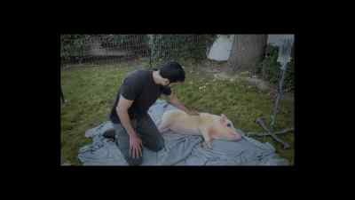 He's suffered so much, - Tacoma