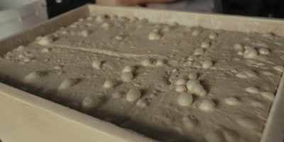 He's the only pizzaiolo in Italy, - Chef's Table: Pizza
