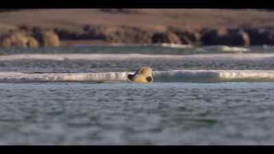He's trying to master - Our Oceans
