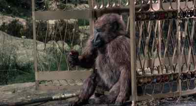 He's turning carnivorous. - Sinbad and the Eye of the Tiger