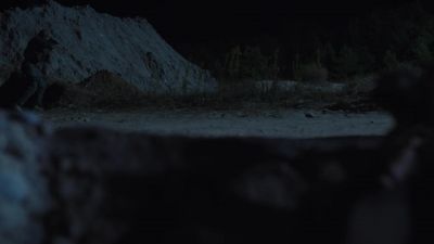 He's using the trees for cover. - Designated Survivor