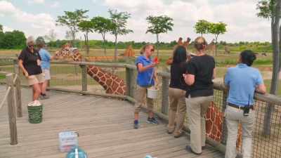 He's very interested in
looking at his blood today, - Secrets of the Zoo