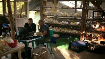 He's working with
fellow archaeologist - Lost Treasures of the Maya