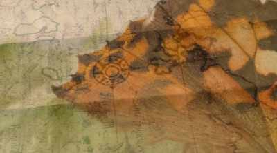 Hessler has tracked the...
The differences in the spots - Mysteries of the Deep