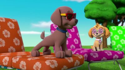Hey! A giant water dish! I like it! - PAW Patrol