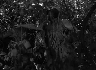 Hey a pop. - Objective, Burma!
