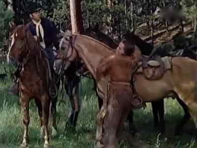 Hey, Aherne's hit. - The Savage
