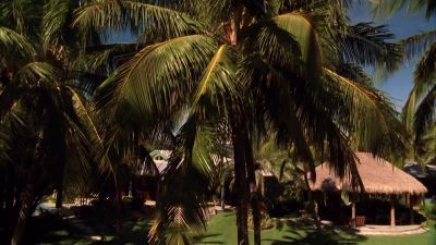 Hey. Alexx Woods. ME's office. - CSI: Miami