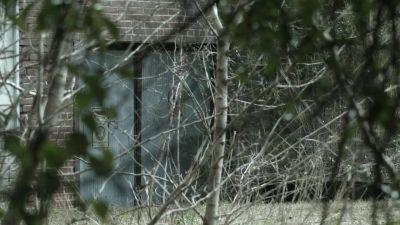 Hey, we are sitting ducks. - The Walking Dead