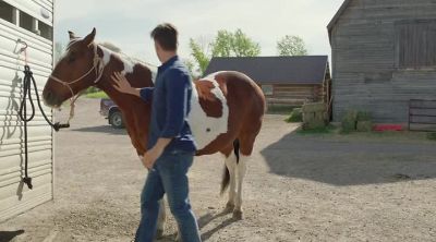 Hey, boy, hey... - Heartland