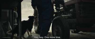 Hey, boy. One more time. - Lamb
