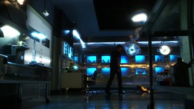 Hey, boy. - CSI: Crime Scene Investigation