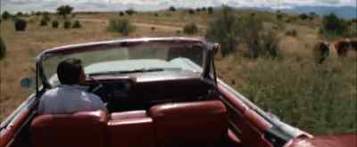 Hey, Bronc, move them this way.
Move them this way. Look out. - Stay Away, Joe
