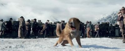 Hey! Buck, come on! - The Call of the Wild
